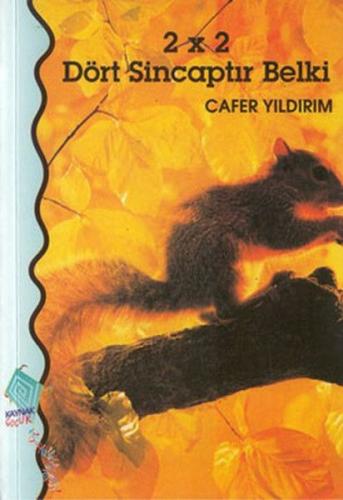 2 x 2 Dört Sincaptır Belki - Cafer Yıldırım - Kaynak Çocuk Yayınları