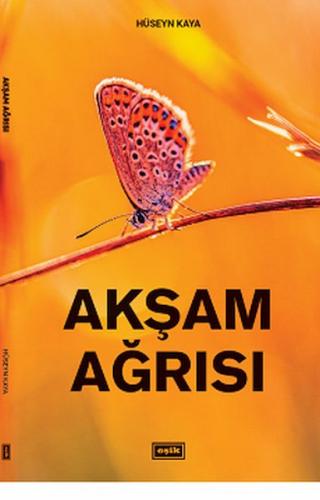 Akşam Ağrısı - Hüseyn Kaya - Eşik Yayınları