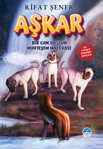 Aşkar - Rifat Şener - Martı Yayınları