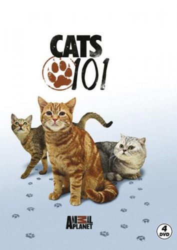 Cats 101 - Kediler - Various - Ataklı / Discovery Channel