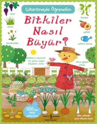 Bitkiler Nasıl Büyür? - Çıkartmayla Öğrenelim - Felicity Brooks - İş B