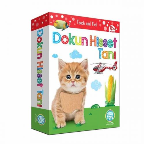 Circle Toys Dokun Hisset Tanı Eğitim Kartları - - Circle Toys