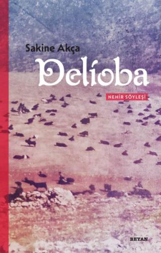 Delioba - Nehir Söyleşi - Sakine Akça - Beyan Yayınları