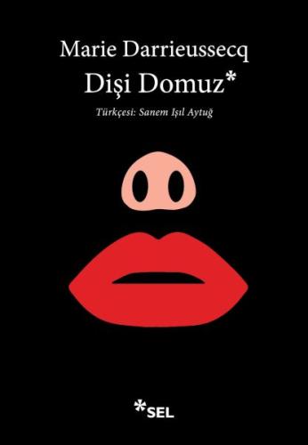 Dişi Domuz - Marie Darrieussecq - Sel Yayınları