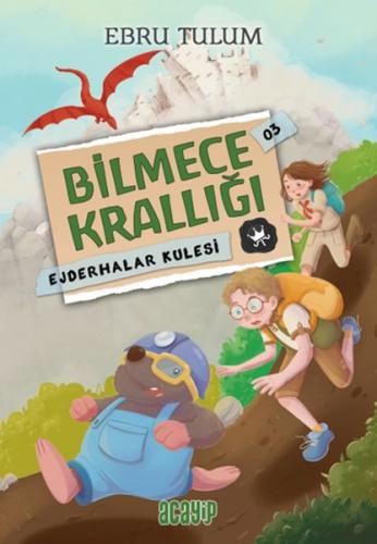 Ejderhalar Kulesi - Bilmece Krallığı 3 - Ebru Tulum - Acayip Kitaplar