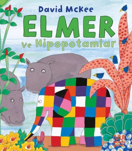 Elmer ve Hipopotamlar - David McKee - Mundi Çocuk