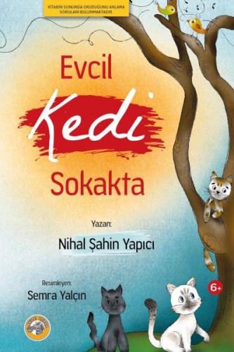 Evcil Kedi Sokakta - Nihal Şahin Yapıcı - Akıllı Zebra