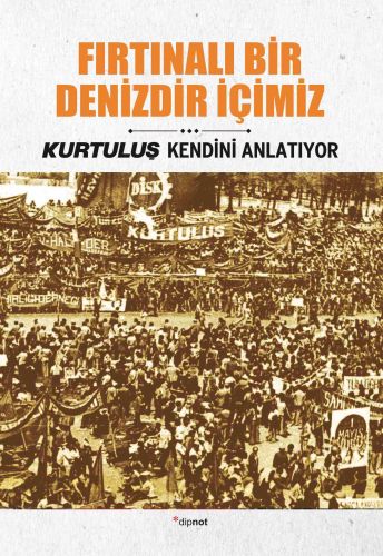 Fırtınalı Bir Denizdir İçimiz - İsmail Metin Ayçiçek - Dipnot Yayınlar