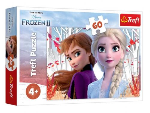 Frozen II The Enchanted World Of Anna And Elsa 17333 (60 Parça) - - Tr