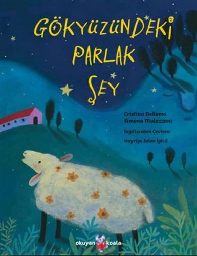 Gökyüzündeki Parlak Şey - Cristina Bellemo - Okuyan Koala