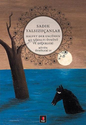 Bütün Öyküleri 4 Halvet Der Encümen / 40 Gözaltı Öyküsü ve Diğerleri -