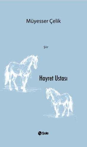 Hayret Ustası - Müyesser Çelik - Şule Yayınları