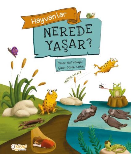 Hayvanlar Nerede Yaşar ? - Elif Köroğlu - Çikitap