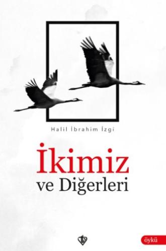 İkimiz ve Diğerleri - Halil İbrahim İzgi - Türkiye Diyanet Vakfı Yayın