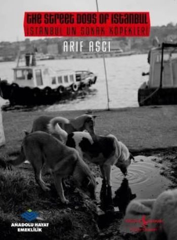 İstanbul'un Sokak Köpekleri / The Street dogs Of Istanbul - Arif Aşçı 