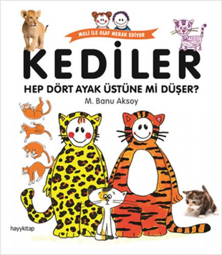 Kediler - Hep Dört Ayak Üstüne mi Düşer? - M. Banu Aksoy - Hayykitap