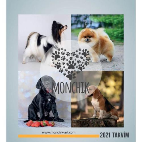 Köpekli Üçgen Masa Takvimi 2021 - - Monchik