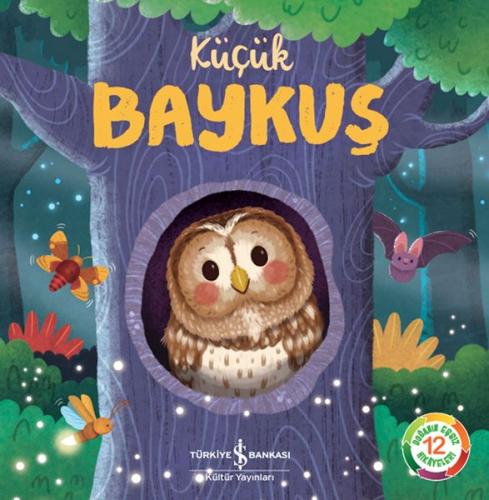 Küçük Baykuş - Wednesday Jones - İş Bankası Kültür Yayınları