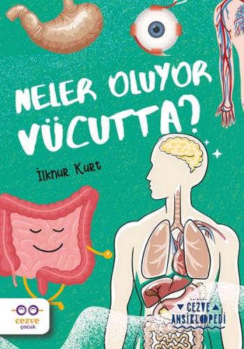 Neler Oluyor Vücutta ? – Cezve Ansiklopedi - İlknur Kurt - Cezve Kitap