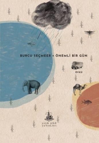 Önemli Bir Gün - Burcu Seçmeer - Yitik Ülke Yayınları