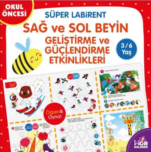 Süper Labirent Sağ ve Sol Beyin Geliştirme ve Güçlendirme Etkinlikleri