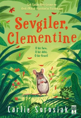 Sevgiler Clementine - Carlie Sorosiak - Genç Timaş