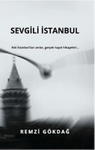 Sevgili İstanbul - Remzi Gökdağ - E Yayınları