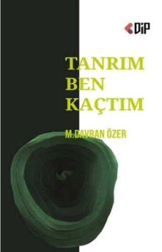 Tanrım Ben Kaçtım - M. Davran Özer - Klaros Yayınları