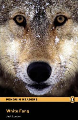 White Fang - Jack London - Pearson Hikaye Kitapları