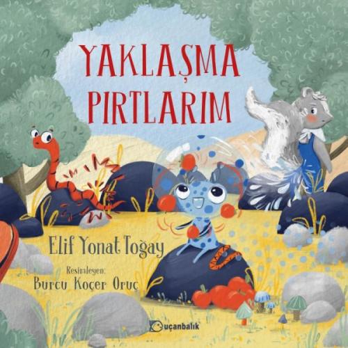 Yaklaşma Pırtlarım - Elif Yonat Toğay - Uçanbalık Yayınları