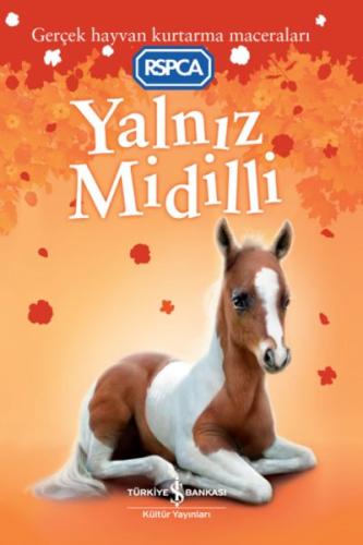 Yalnız Midilli - Sarah Hawkıns - İş Bankası Kültür Yayınları