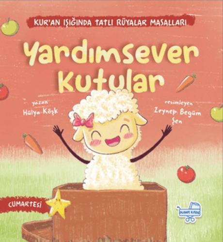 Yardımsever Kutular - Hülya Köşk - Puset Kitap