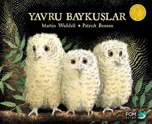 Yavru Baykuşlar - Martin Waddell - FOM Kitap