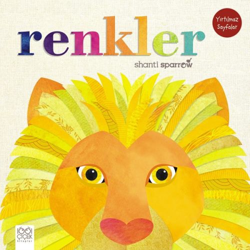 Renkler - Shanti Sparrow - 1001 Çiçek Kitaplar